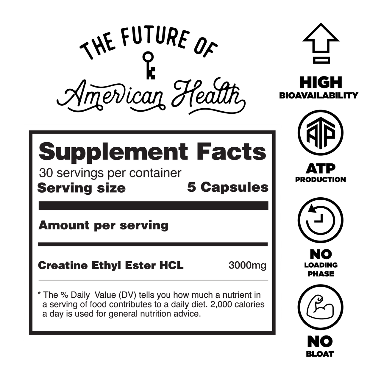SIEGE - Esterfied Creatine